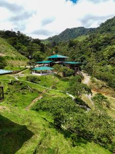 Příroda nedaleko rezortu