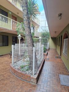 a fence around a palm tree in a courtyard at Motel Jabaloyas in Tijuana