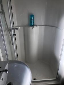 a bathroom with a shower and a toilet and a sink at Family friendly, 3-bedroom holiday home in Bembridge