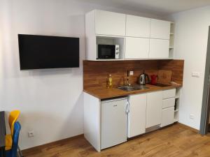 Kuchyň nebo kuchyňský kout v ubytování Apartmán Matylda - Deštné v Orlických horách