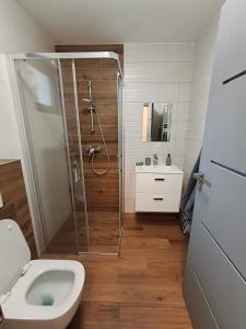 Koupelna v ubytování Apartmán Matylda - Deštné v Orlických horách