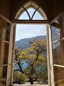 an open window with a view of a tree at Tartana 1 in Dobrota