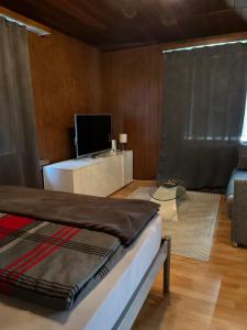 Μια τηλεόραση ή/και κέντρο ψυχαγωγίας στο Flat Speicher St. Gallen