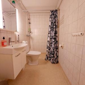 Un baño con inodoro, lavabo y ducha. en Huoneisto Pikku Neristan, en Kokkola