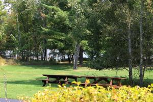 two picnic tables in a park with trees and grass at 2 Bedroom accessible condo in Eagle River