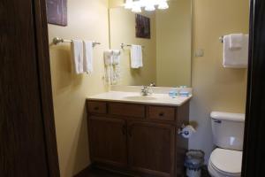 a bathroom with a sink and a toilet and a mirror at 2 Bedroom Condo at Wild Eagle Lodge in Eagle River