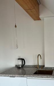 a kitchen with a sink and a counter top at Haus Villa-Moderne Galeriewohnung in Wallersdorf-Haidlfing in Wallersdorf +7 photos