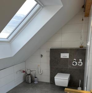 an attic bathroom with a toilet and a skylight at Haus Villa-Moderne Galeriewohnung in Wallersdorf-Haidlfing in Wallersdorf