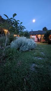Zahrada ubytování Chalet sul Trasimeno