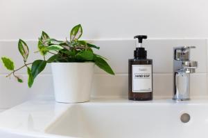 a bathroom sink with a bottle of soap and a plant at Studio Piramide in Rome