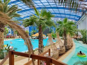 凯尔采Central Luxury&Gold Apartments , Parking GRATIS FaktVat的棕榈树的度假泳池和泳池内的人