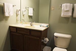 a bathroom with a sink and a toilet and a mirror at 2 bedroom condo at Wild Eagle Lodge, #133 in Eagle River