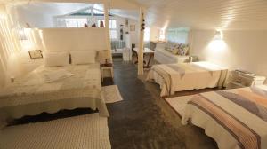 Foto dalla galleria di Centro Paulus a San Paolo Altre 79 foto