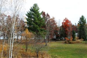 a park with a tree and trees in a field at 2 Bedroom Condo at Wild Eagle Lodge, #232 in Eagle River +28 photos