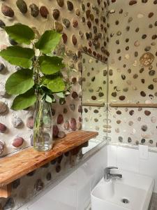 un bagno con vaso su una mensola accanto a un lavandino di La Chamba Surf House a Santa Catalina
