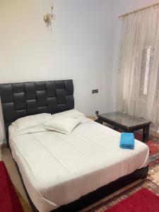 Postel nebo postele na pokoji v ubytování Riad Oussari