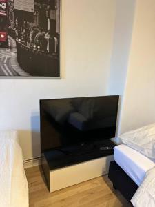 TV a/nebo společenská místnost v ubytování Modernes & Komfortables Apartment bis zu 6 P