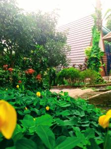 a garden with yellow flowers in a yard at villa besty and farm in Ciracas