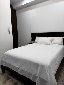 Gallery image of Hotel San Francisco in Tarapoto