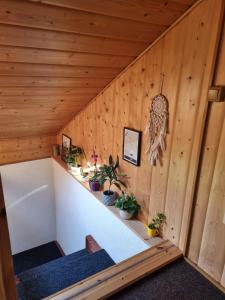 RaspenavaにあるDomeček u Grizzlyhoのギャラリーの写真