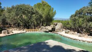 a pool of water with rocks in a yard at Finca los arboles habitaciones in Las Rozas de Madrid