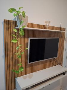 a television on a wooden wall with a plant at Apartamento aconchegante in Teresina