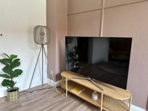 a living room with a flat screen tv and a plant at Gemütliche Wohnung im Zentrum in Neumünster