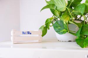 Gallery image of Casa Nel Blu in SantʼAlessio Siculo