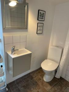 普赖斯特Charmerende byhus i Præstø centrum的带马桶和水槽的浴室