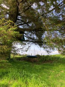Gallery image of The Blue Farmhouse in Drinagh