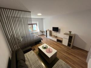 TV a/nebo společenská místnost v ubytování Vlasic Apartmani HANA