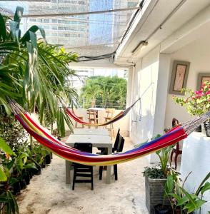 卡塔赫纳Habitación cerca a la playa 105的植物间中间的吊床
