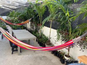 卡塔赫纳Habitación cerca a la playa 105的花园里的吊床,配有桌子和盆栽植物