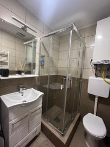 Uma casa de banho em Vlasic Apartmani HANA