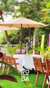 Сад в ROBA- BeachCafe & LuxuryStay +12 фотографий