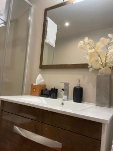 een badkamer met een witte wastafel en een spiegel bij Apartamento Balcón a la Basílica del Pilar in Zaragoza +19 foto's