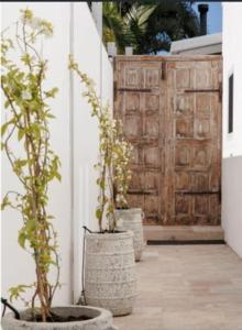 Gallery image of Sunny Coast Guesthouse in Tewantin