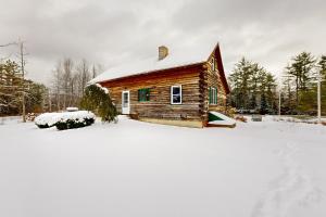 Twin View Log Home að vetri til