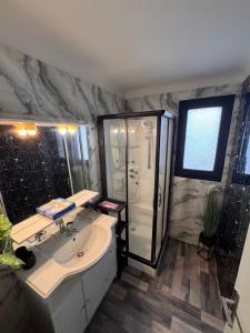 a bathroom with a white sink and a shower at Maison des rivages 3 chambres in Saint-Géréon