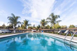 a swimming pool at a resort with palm trees at Tri-Valley Inn & Suites in Pleasanton