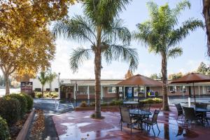 a patio with tables and palm trees in front of a building at Tri-Valley Inn & Suites in Pleasanton