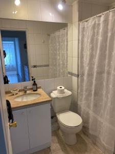 Un baño con inodoro, lavabo y ducha. en Habitación Metro Escuela Militar, en Santiago 16 fotos más