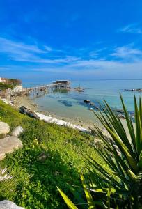 a view of a beach with a pier in the water at Borgo Ninni - CASA CARLY in San Vito Chietino