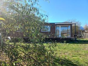 a tiny house in a field with a tree at El Vagon in San Martín de los Andes