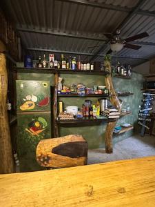 Tragos en Cahuita Vibe