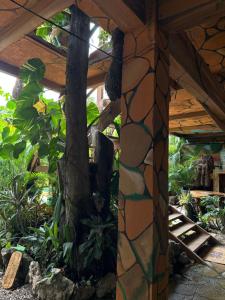 Un jardín fuera de Cahuita Vibe