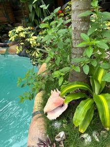 Un jardín fuera de Cahuita Vibe