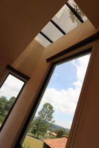 a window in a room with a view of a tree at Loft romántico y acogedor junto al bosque in Huasca de Ocampo +12 photos