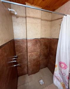 e bagno con doccia e tenda. di Los Lirios Gardes Pehuajo a Pehuajó Altre 5 foto