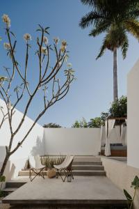 a courtyard with two chairs and a palm tree at Casa Meraki Mérida - Paseo de Montejo in Mérida